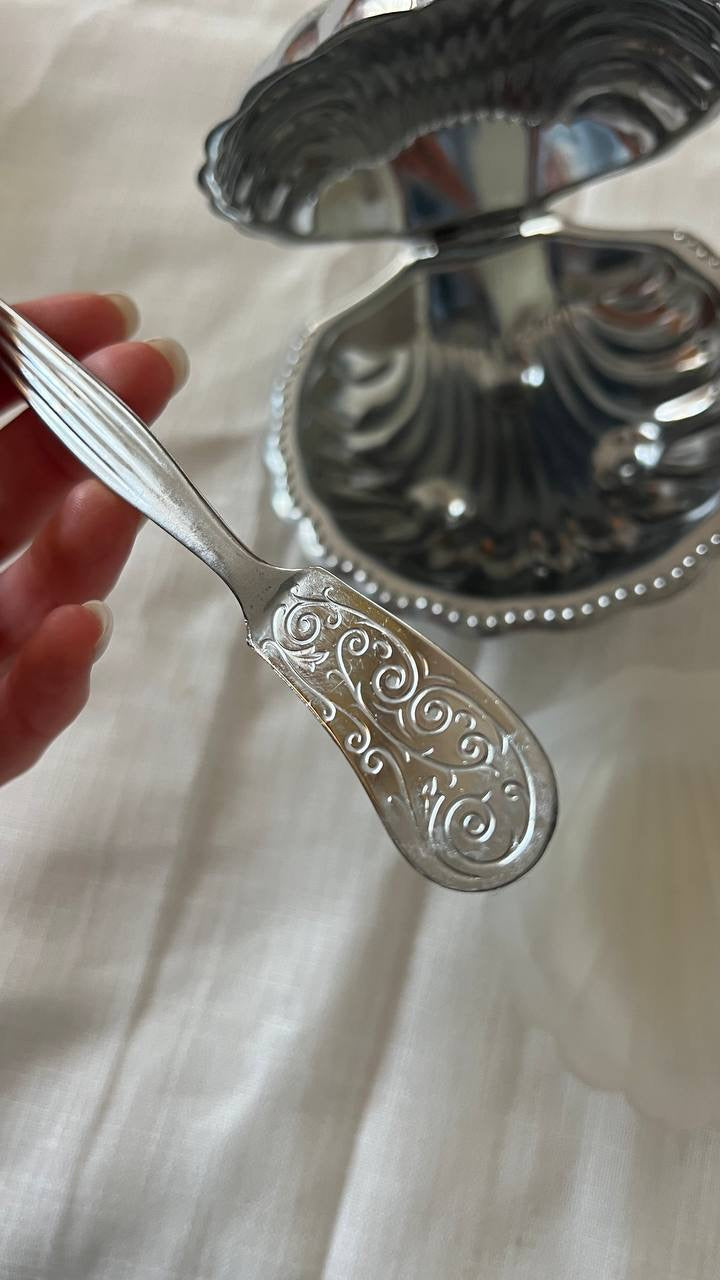 Silver Shell-Shaped Box with Spoon & Plastic Plate – Perfect Condition